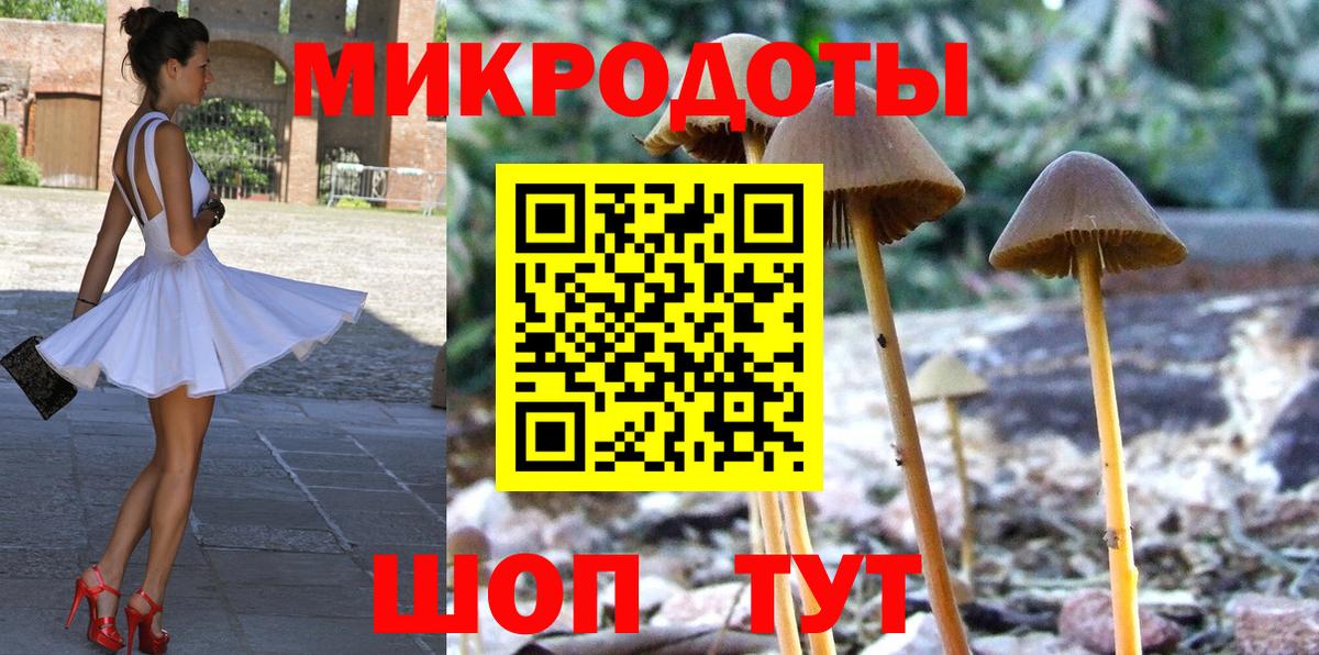 Псилоцибиновые грибы Psilocybine cubensis  Вход с VPN  Котлас 